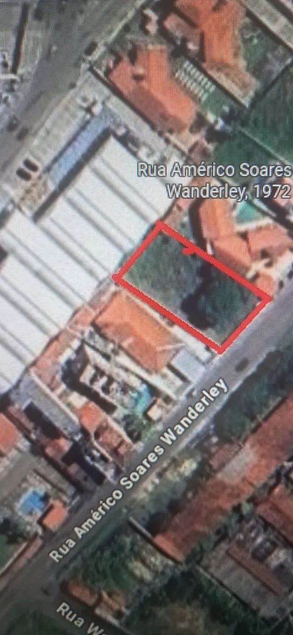 Foto - Natal - Capim Macio