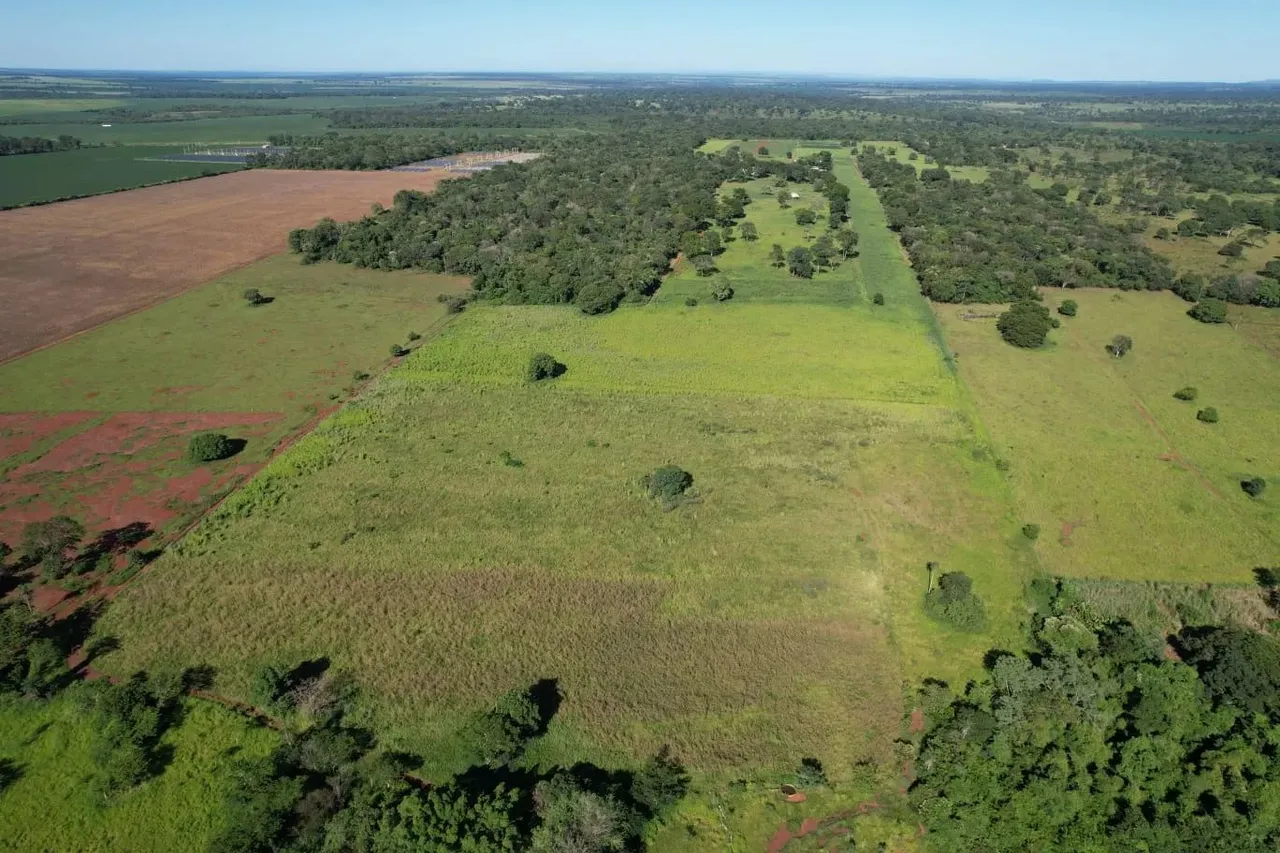 COD436- FAZENDA À VENDA 51 HECTARES TERENOS/MS