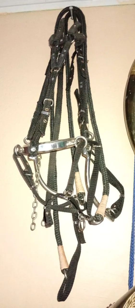 Professora 64584932033923120