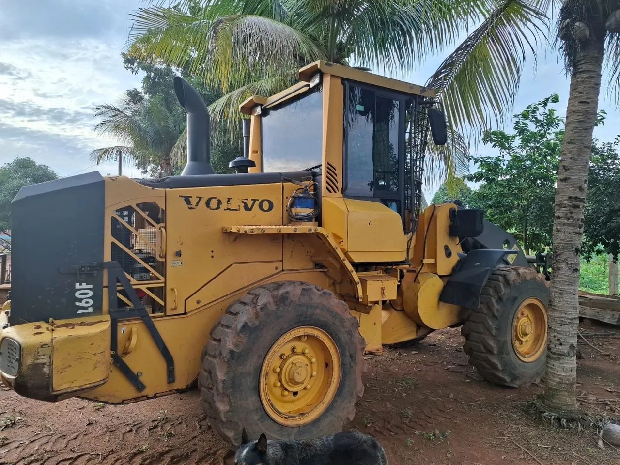 Volvo L60F - Máquina de Construção