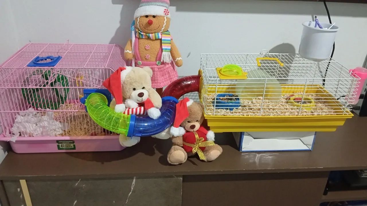 Gaiola para hamster 