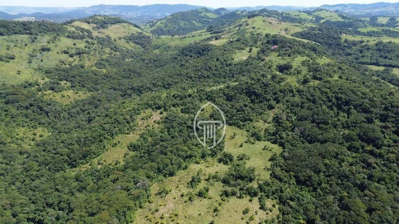 FAZENDA À VENDA EM FAXINAL  PR - Foto 3