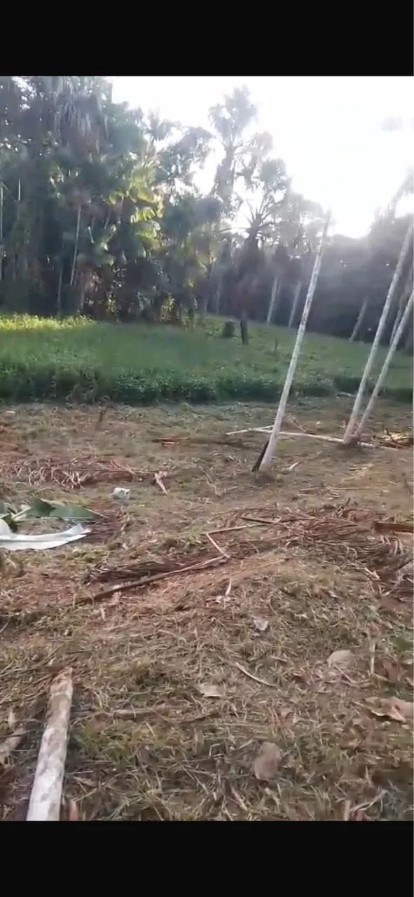 Terreno para sítio com Igarapé em Benevides  - Foto 2