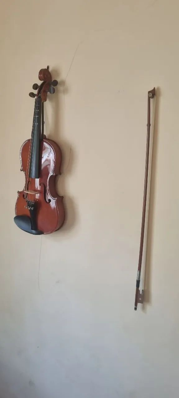 Violino
