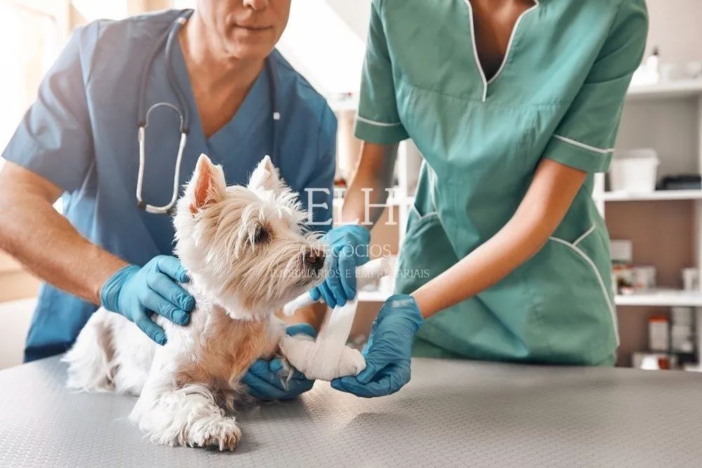 Pet Shop e Clinica Veterinária - São Caetano