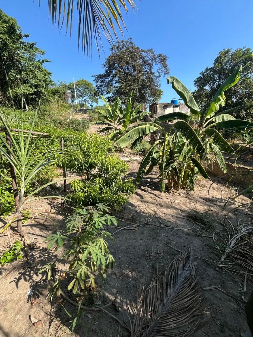 Foto - Maricá - Jardim Atlântico Central (Itaipuaçu)