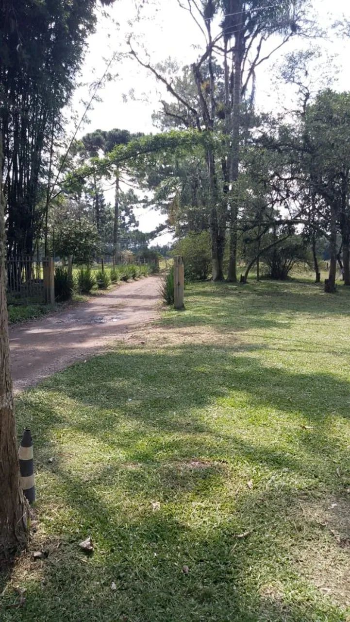 Oportunidade! Linda Chácara em São José dos Pinhais.   - Foto 2