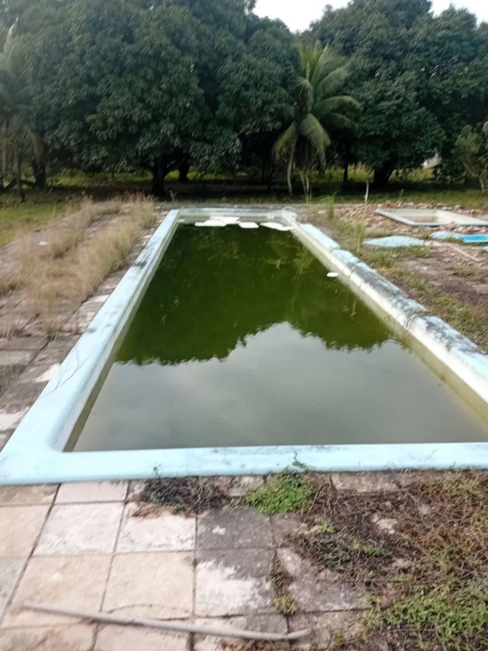 Piscina  - Foto 2
