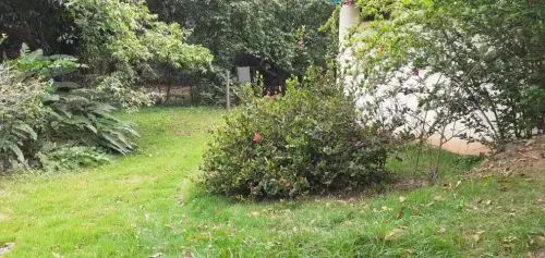 Casa na chácara em Alegre ES - Foto 4