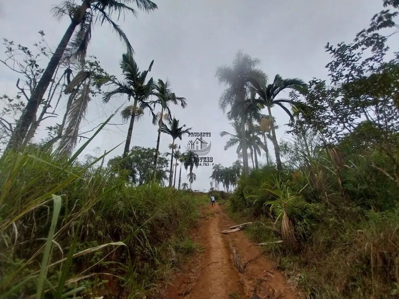 FAZENDA COMERCIAL em ELDORADO - SP, rural - Foto 4