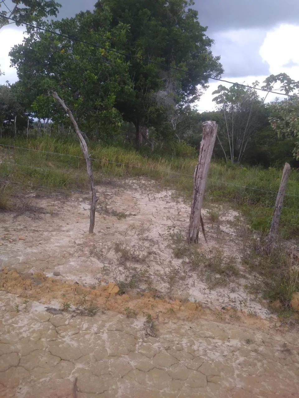Terrenos e casa em área de praia - Foto 5