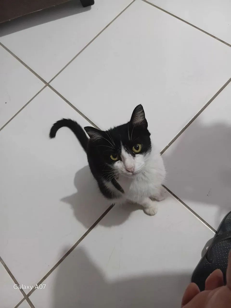 Doação  - Foto 4