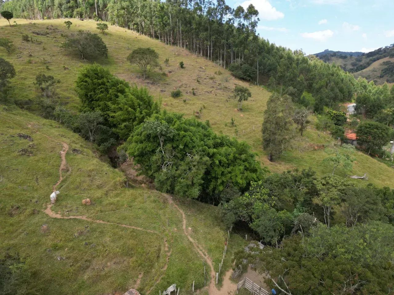 sitio com 60 mil metros em Itapeva-MG  com nascente - Foto 2
