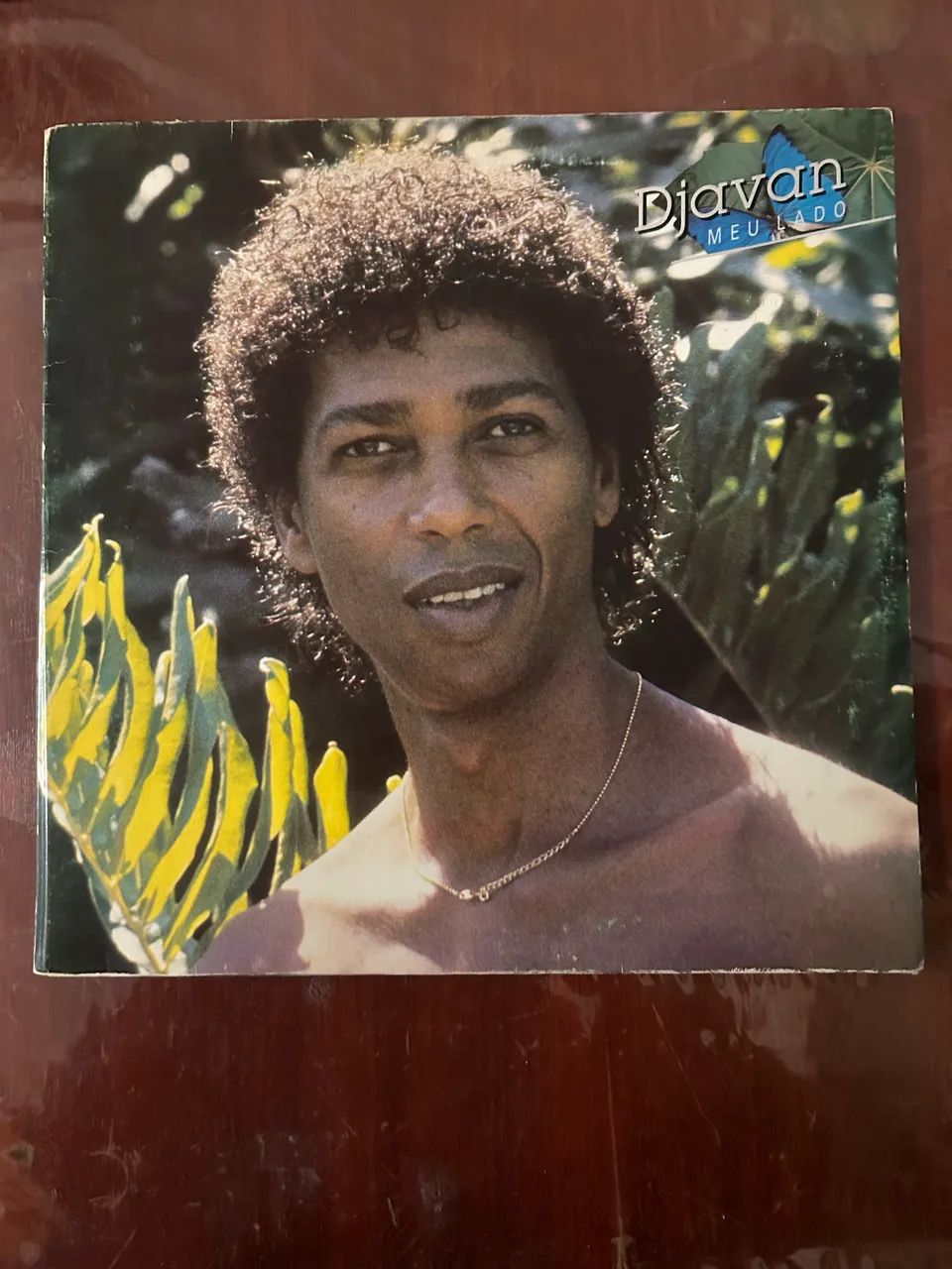 Disco Vinil Djavan