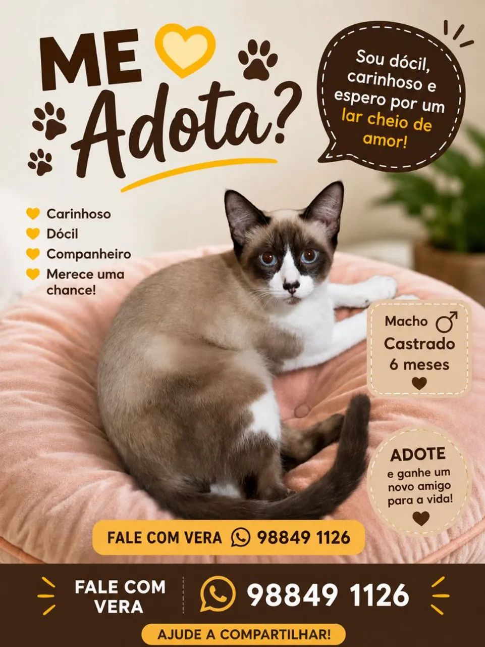 FOFURAS - Foto 4