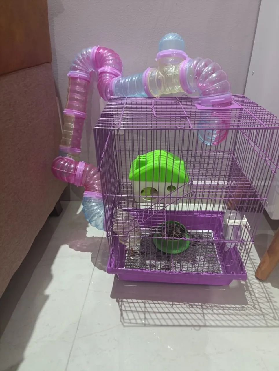 Hamster?  - Foto 3
