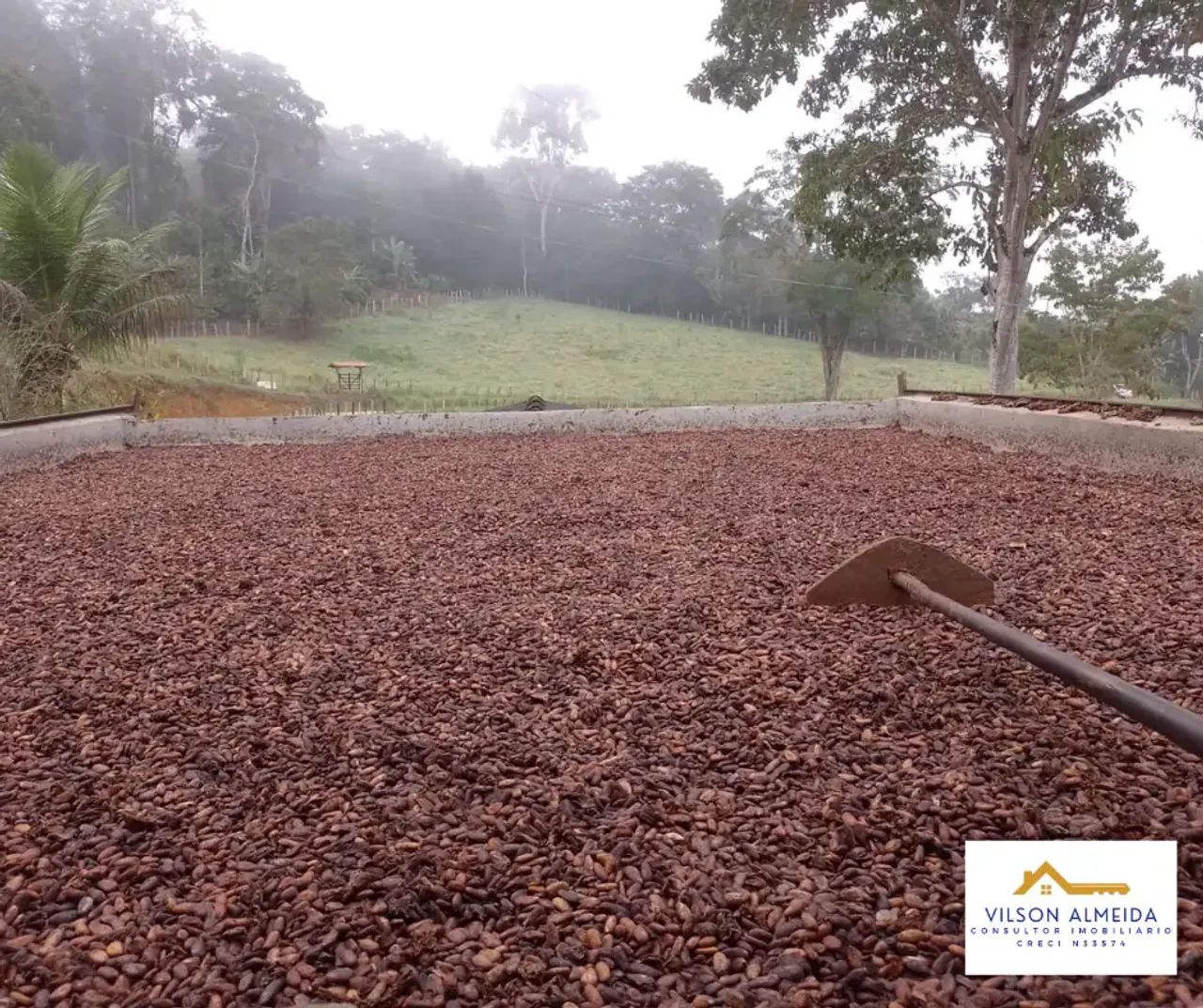 Áreas à venda, SERRA GRANDE, Uruçuca, BA