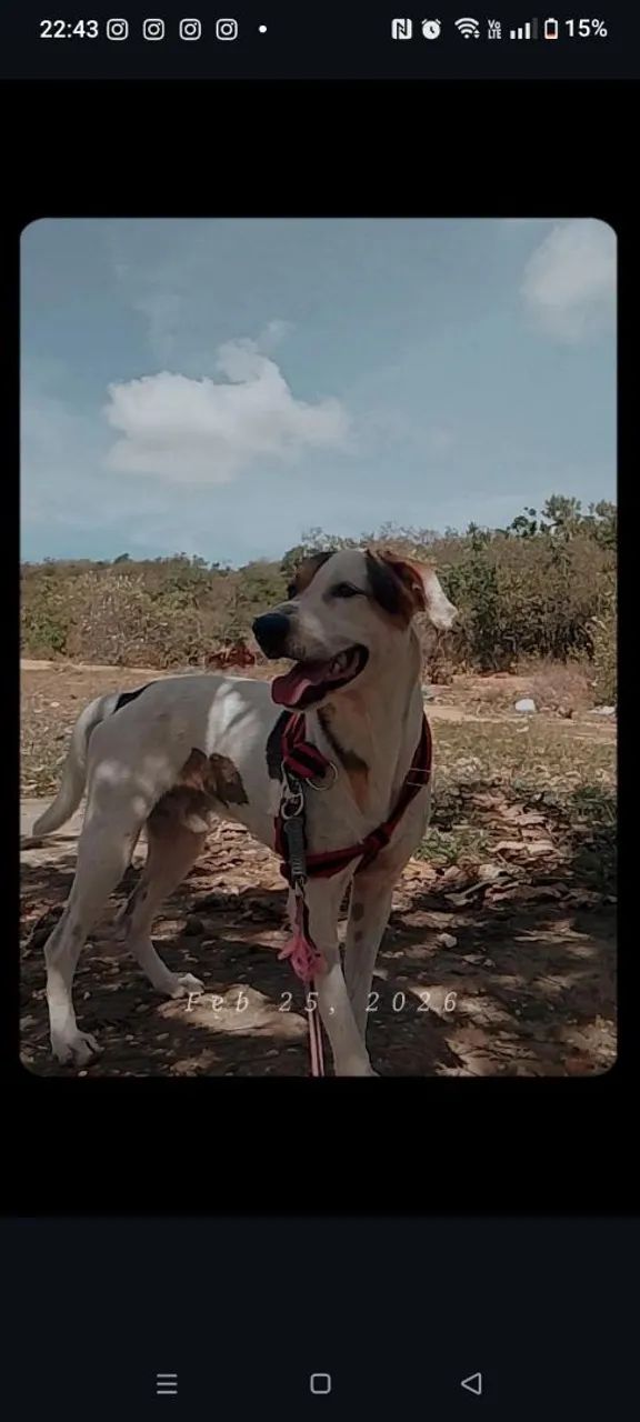 Doação 