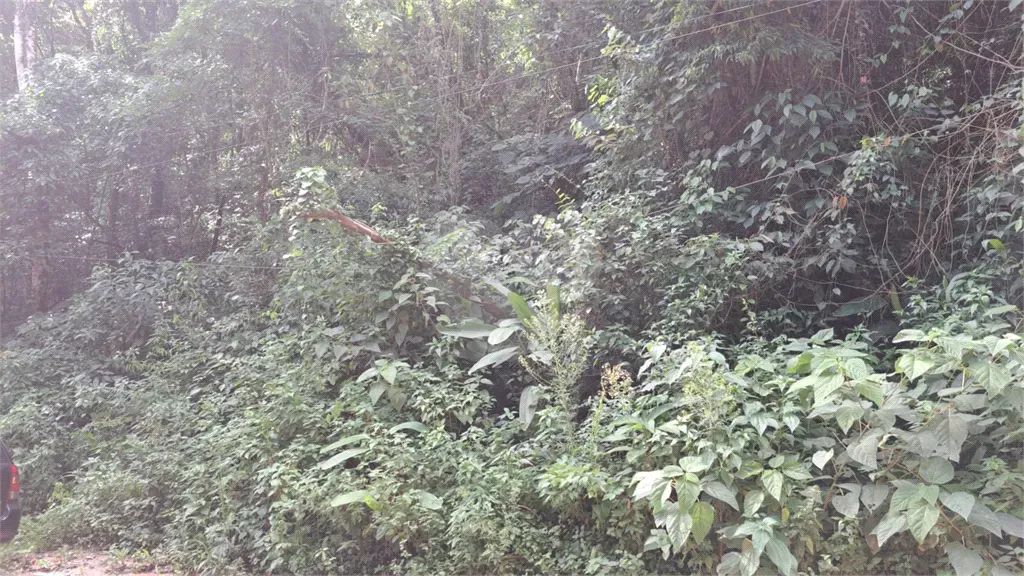 Terreno à venda em Caceia - SP - Foto 3