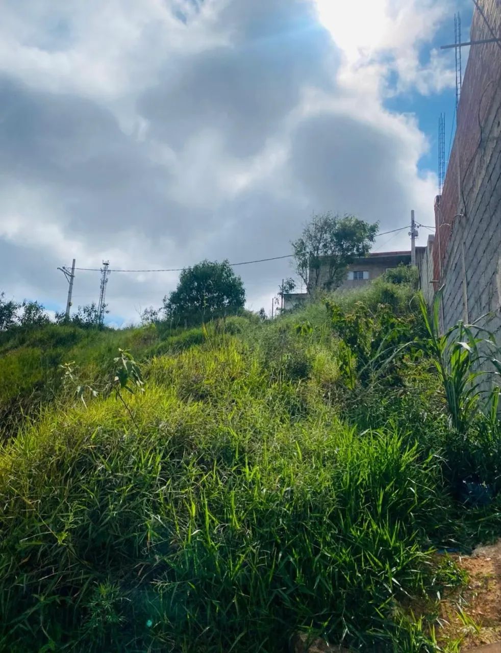 Foto - Barueri - Jardim Tupan