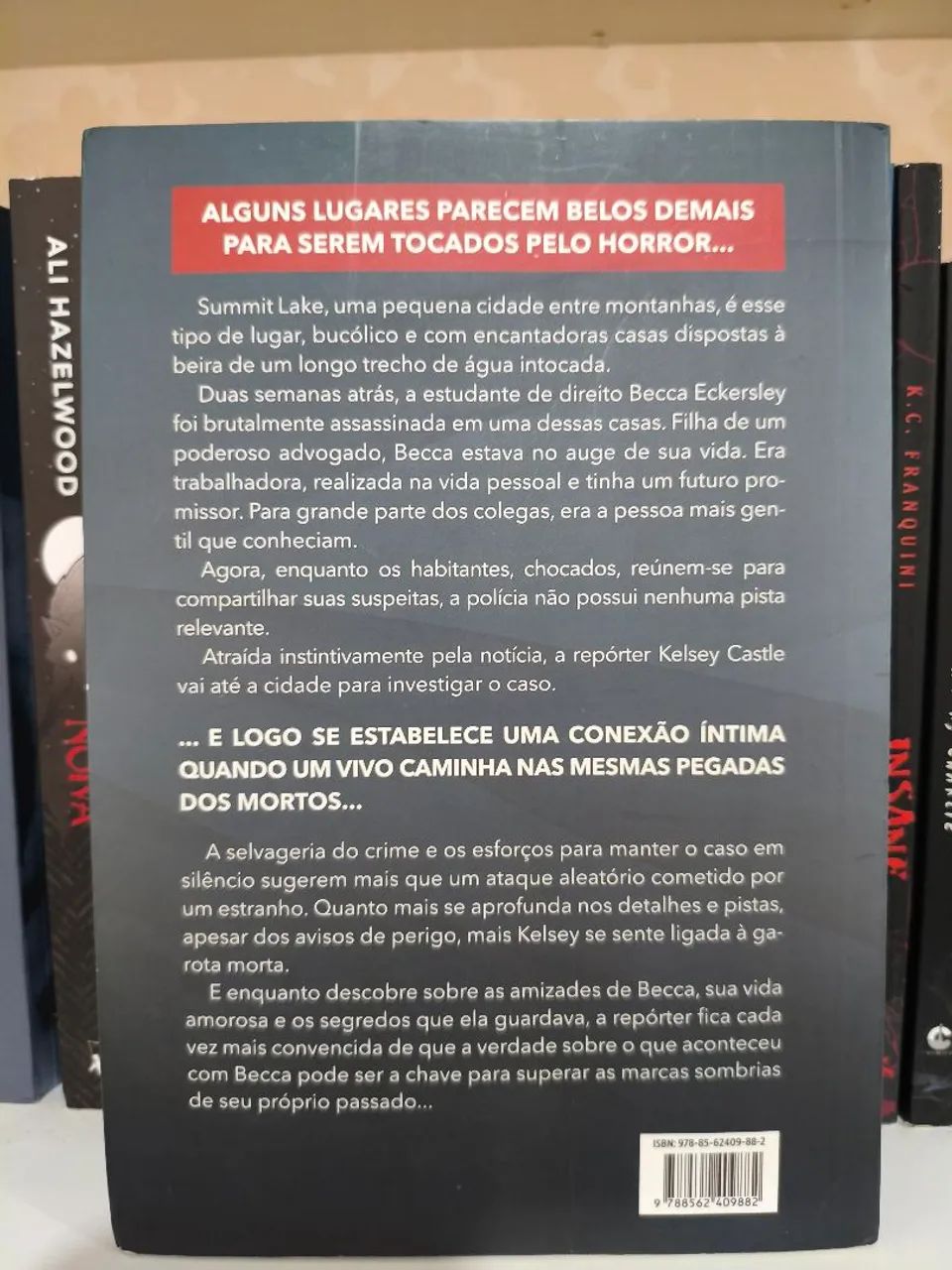 A garota do lago  - Foto 2