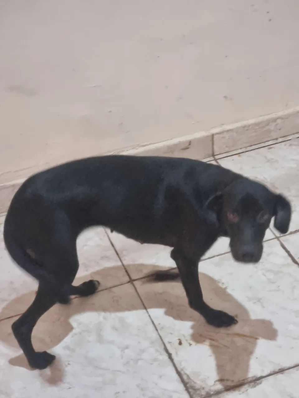 Doação  - Foto 2