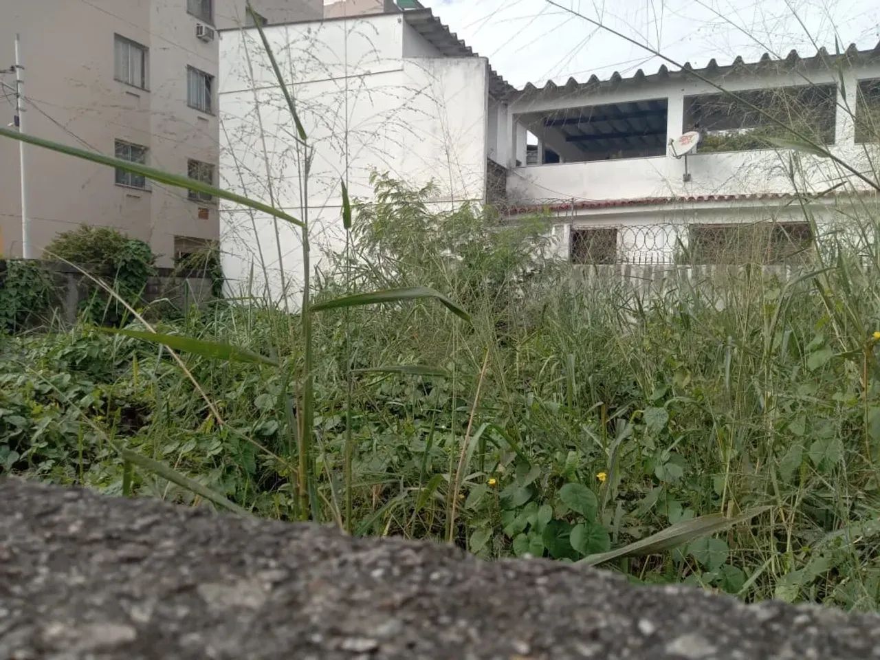 Terreno para venda Quint - Foto 4