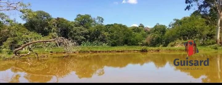 Sitio Em Lagoinha com 2 Alqueires - Foto 3