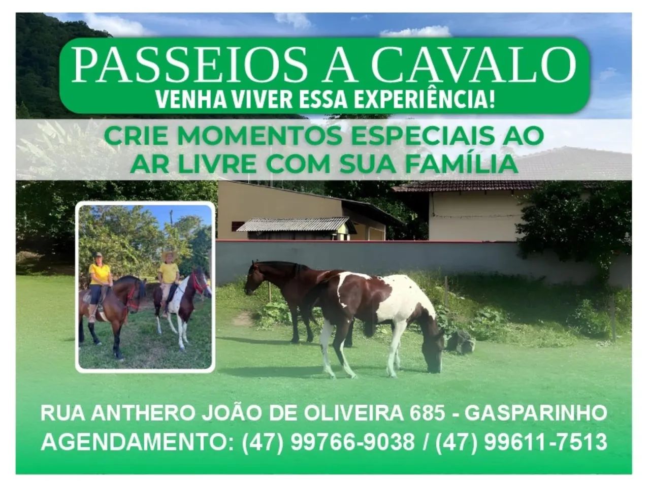 Aulas de Equitação e Passeio a Cavalo  - Foto 4