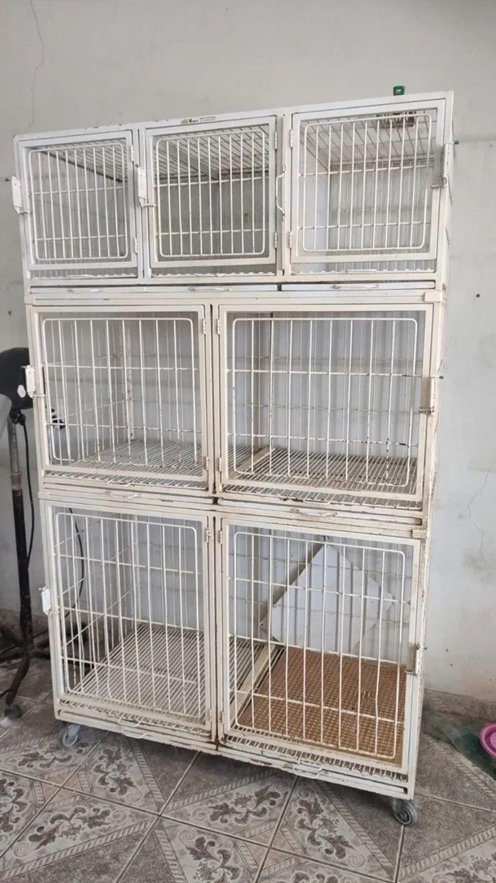 Soprador , secador e tesoura para pet  - Foto 5