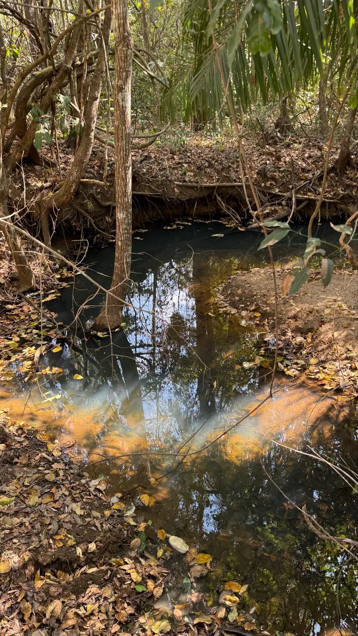 2 Alqueires em Goiás velho, terra boa  - Foto 5