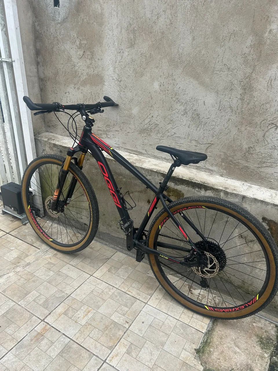 Bicicleta oggi