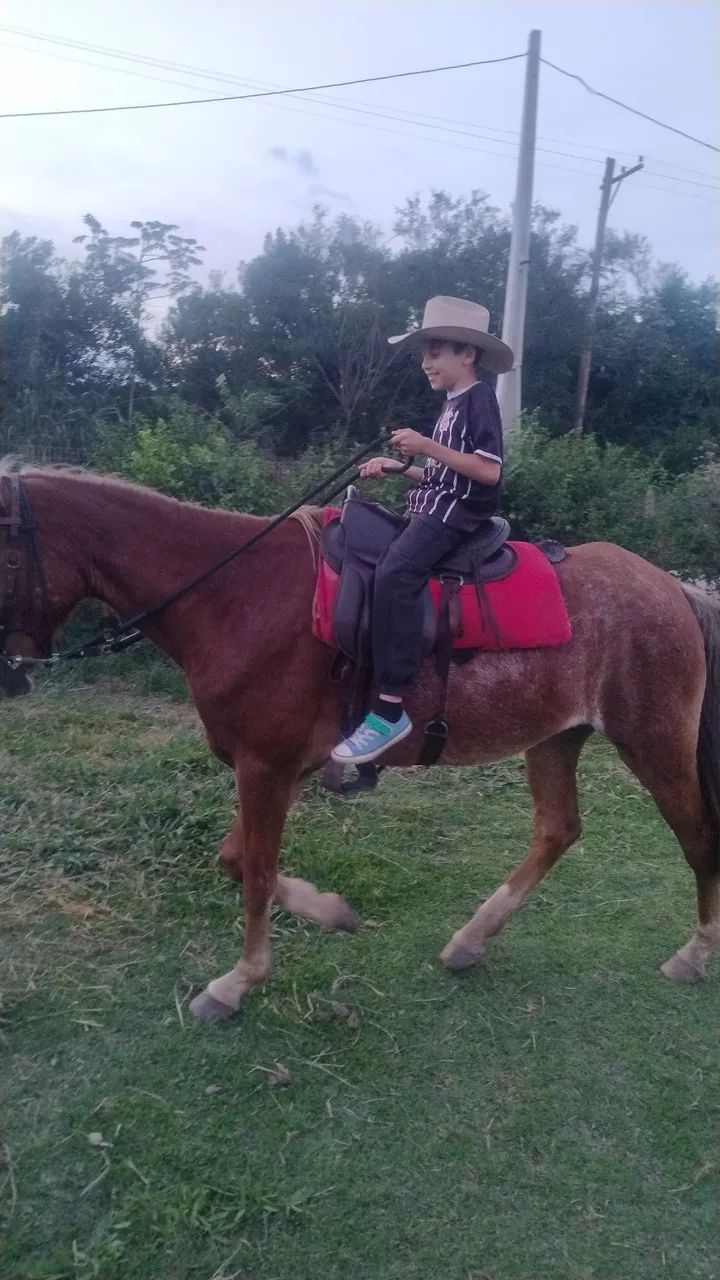 Égua 8 anos - Foto 5