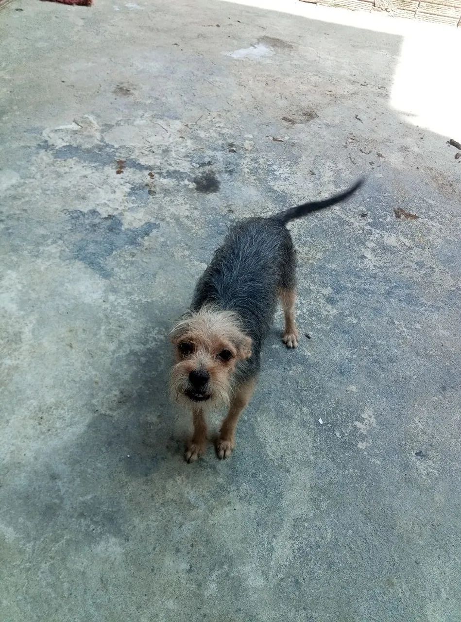Doação  - Foto 3