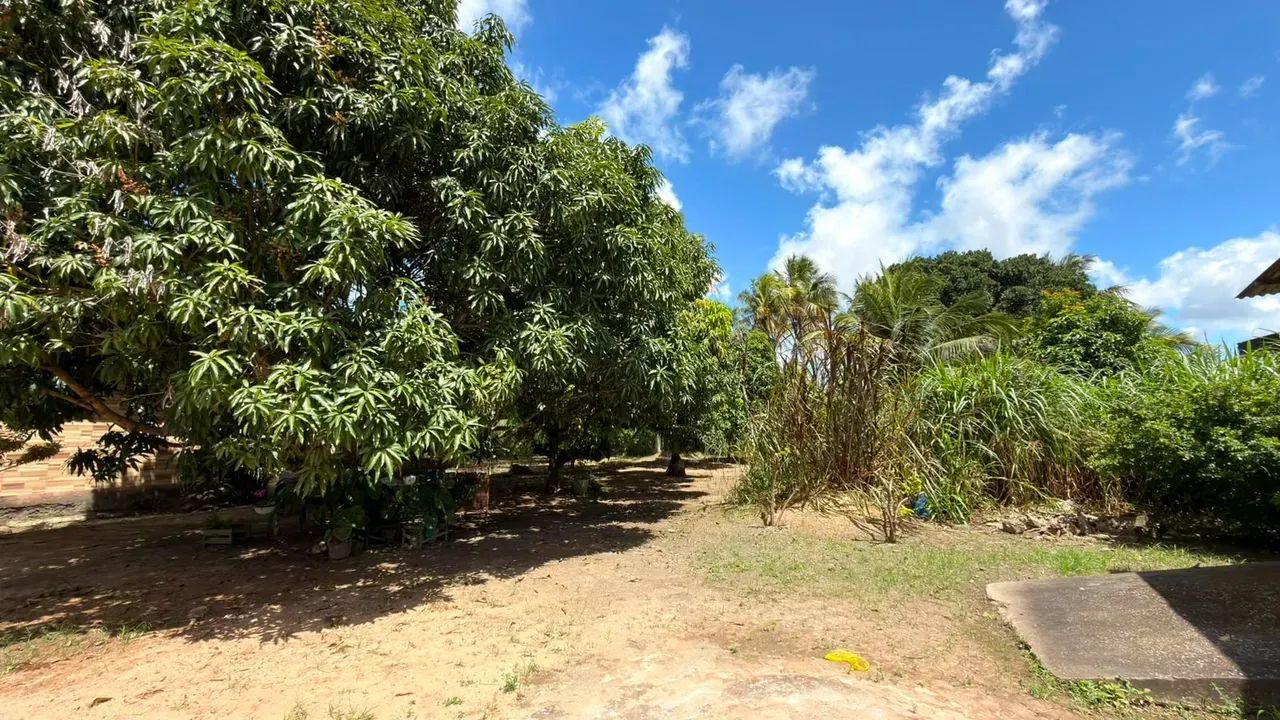 VDO. ÁREA DE TERRENO PX. A  UFAL
