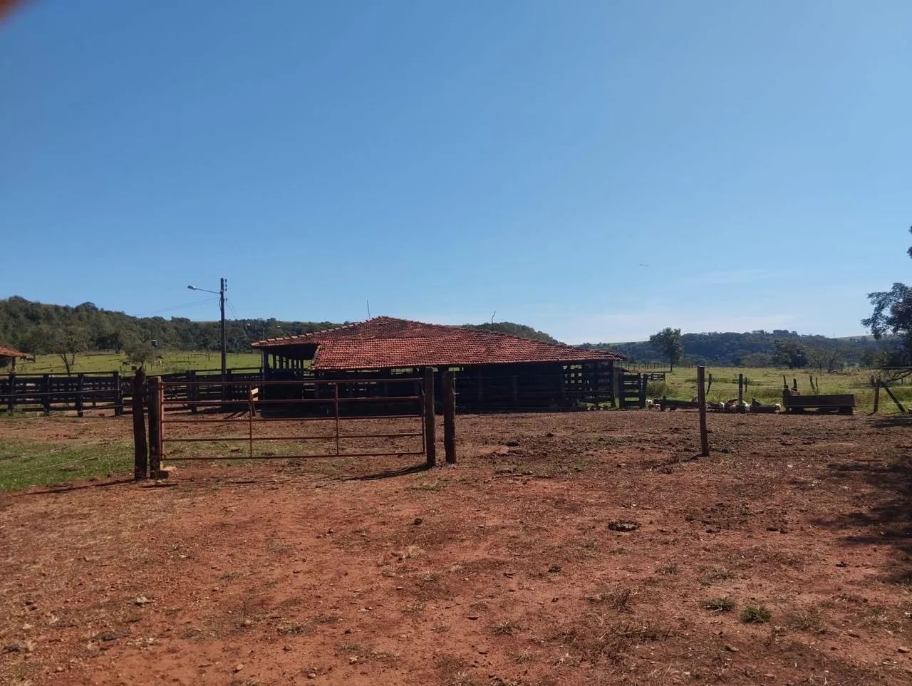 Fazenda dupla aptidão comendador gomes  - Foto 3