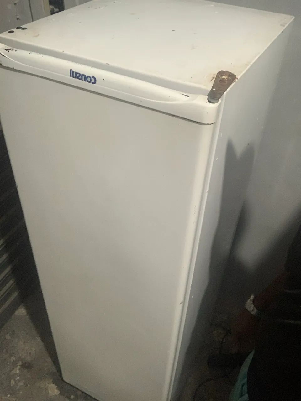 Freezer vertical