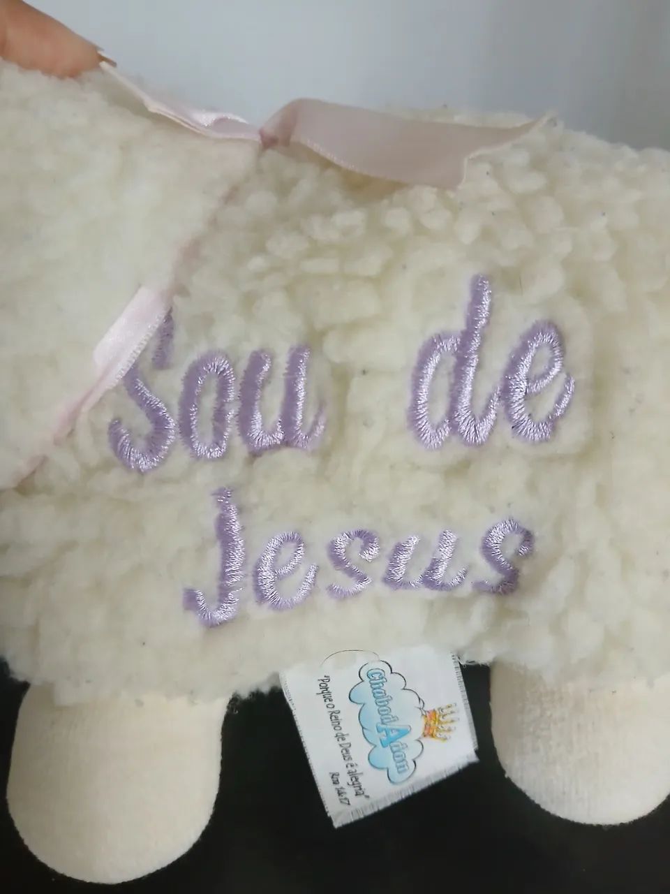 Ovelhinha de Jesus - Foto 5