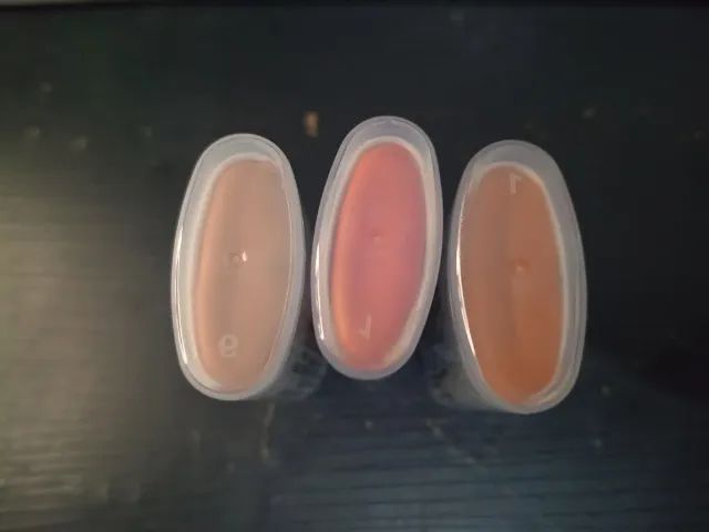 Trio de blush colorido em bastão lua e neve