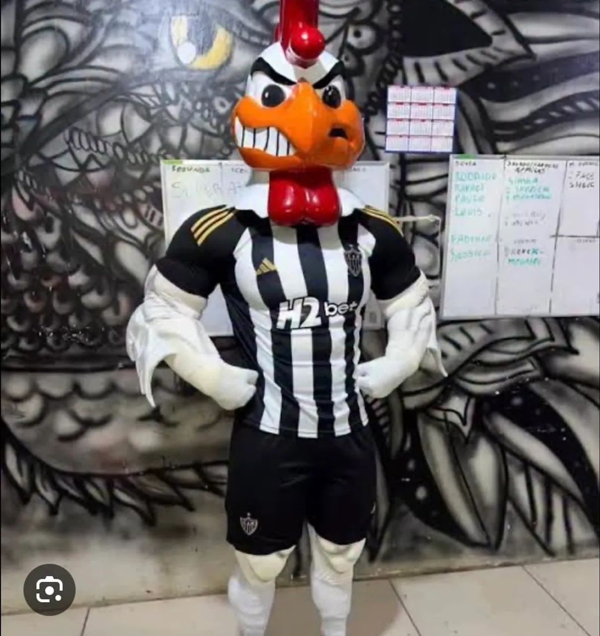 Fantasia Galo Doido - Foto 2