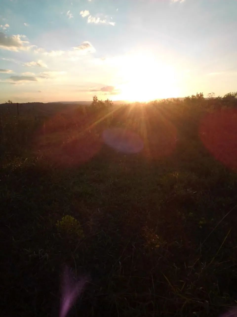 Sítio a venda  - Foto 5