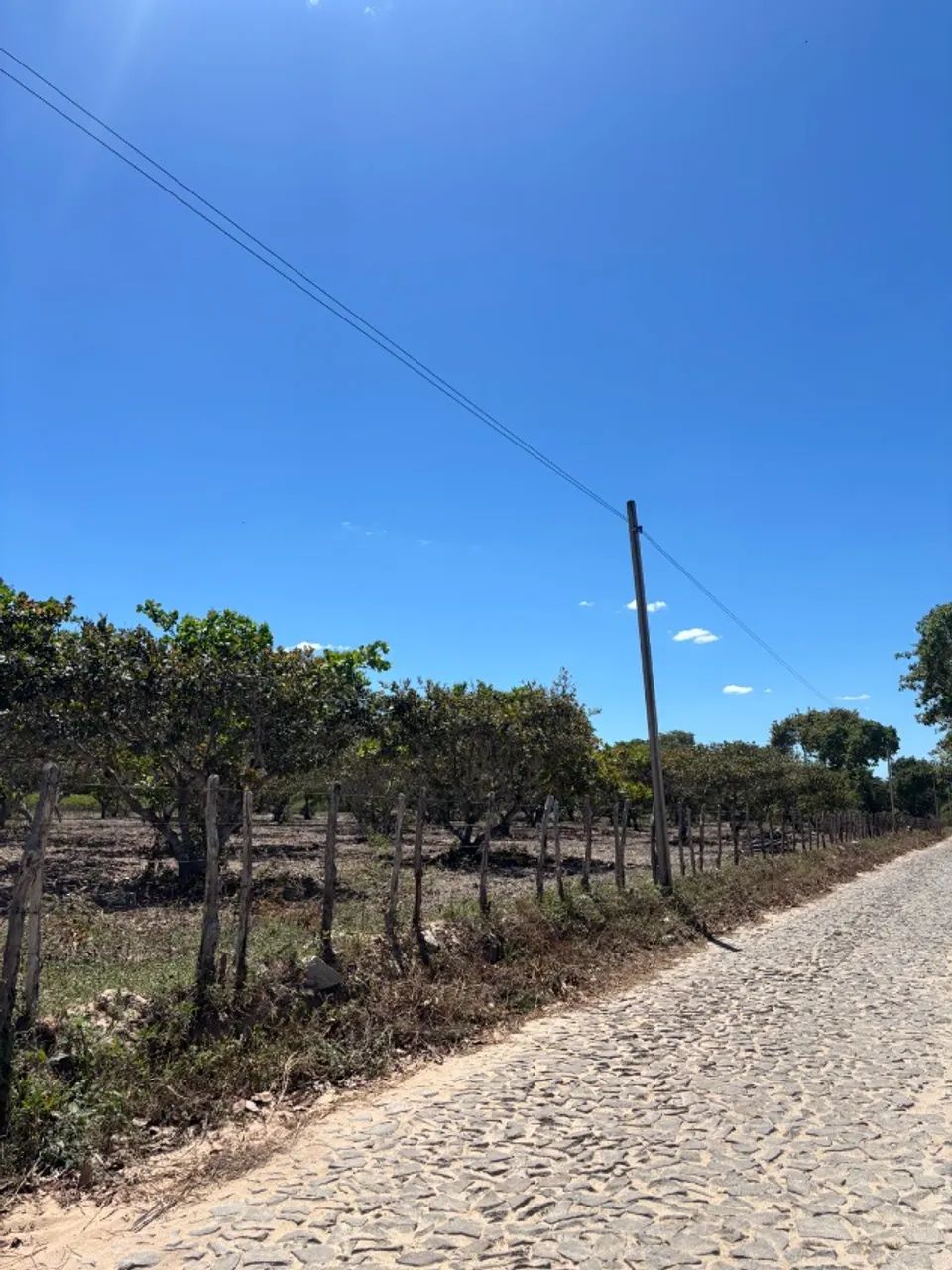 Terreno a venda  - Foto 5