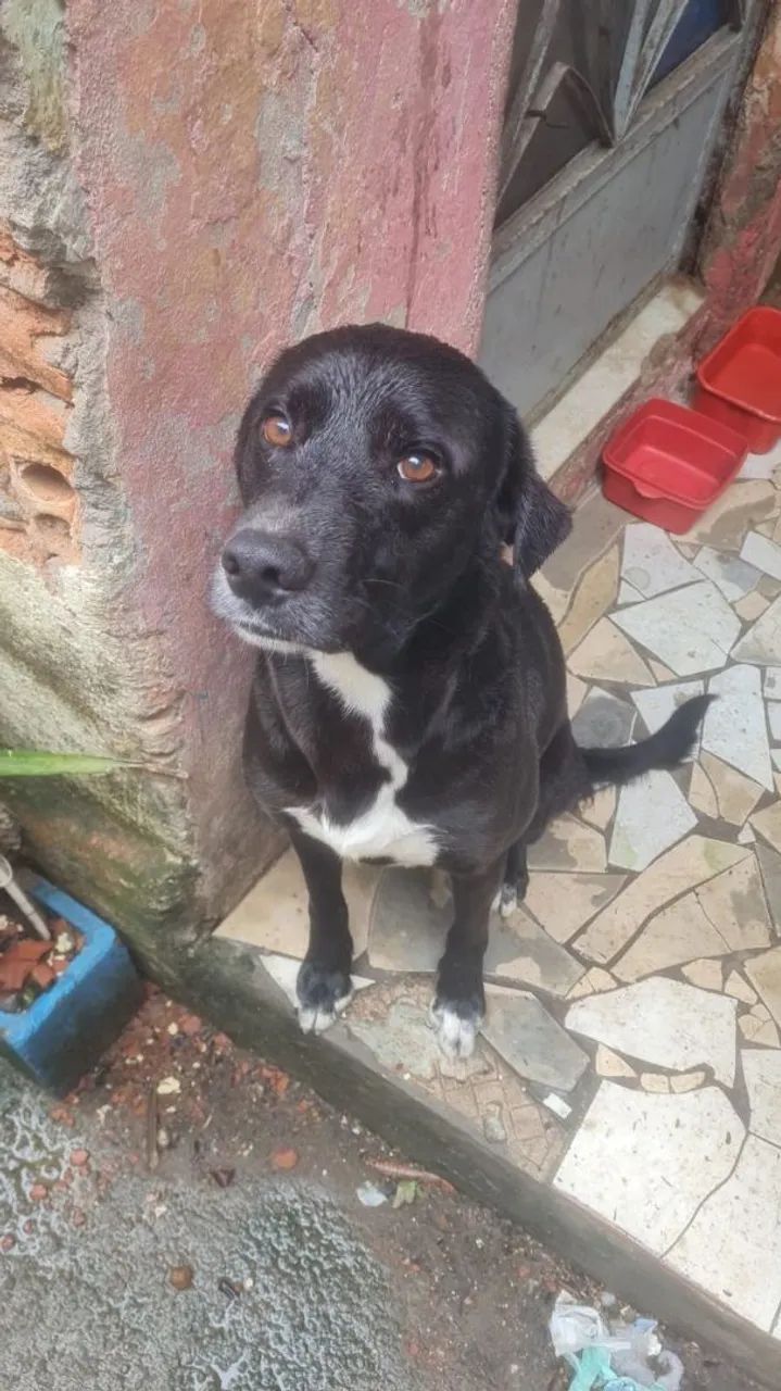 Doação - Foto 4
