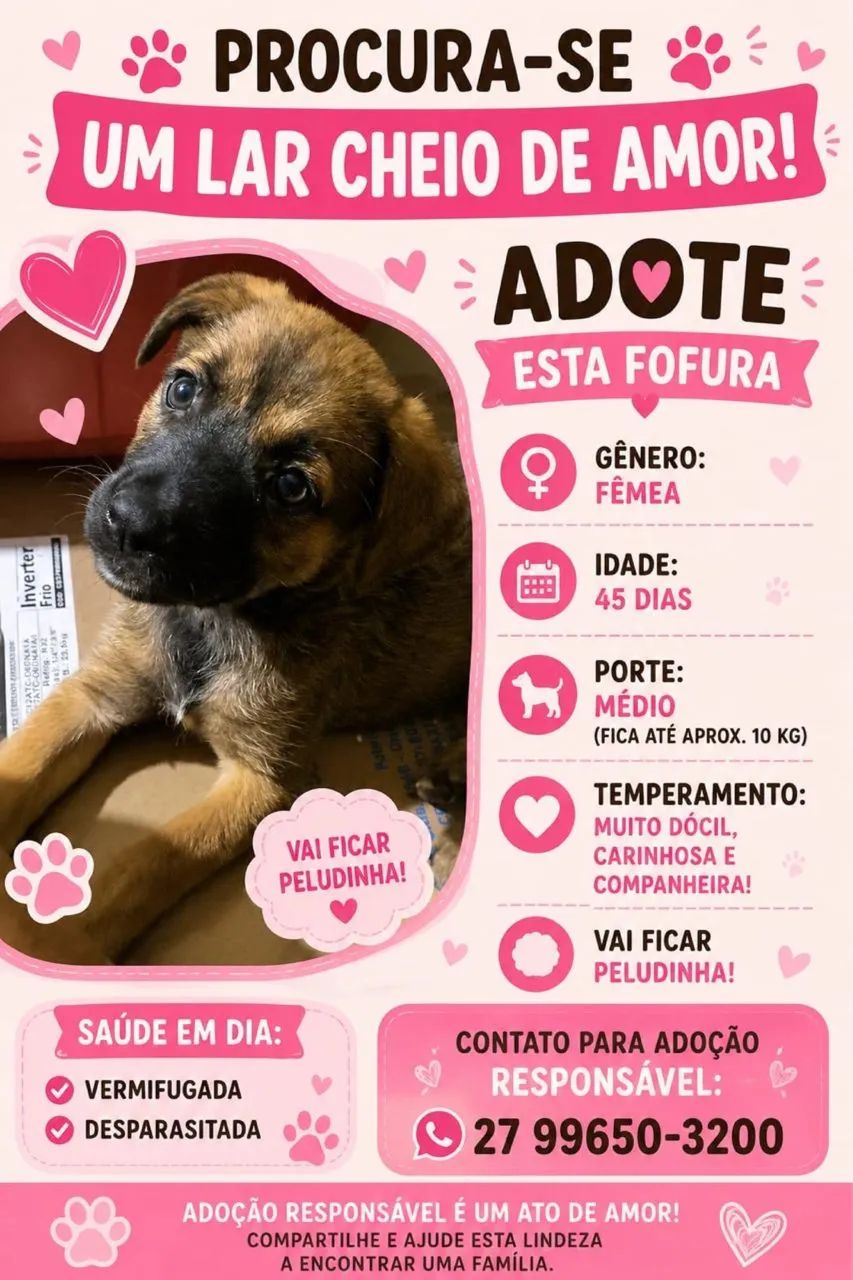Cachorra peluda  - Foto 2