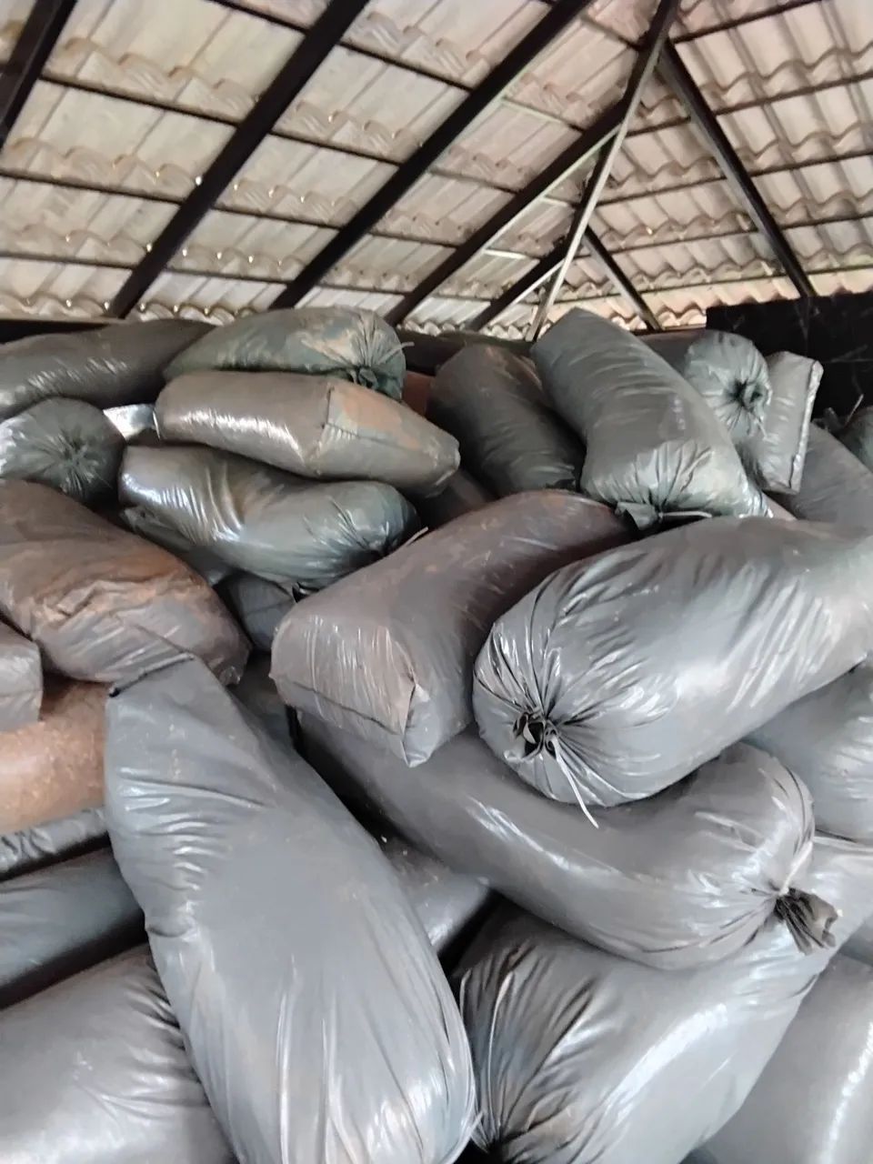 Silagem top 10 , 100% do milho, a melhor silagem da ponte alta - Foto 2