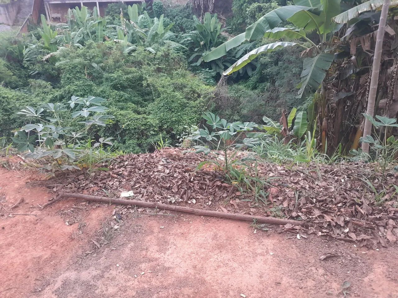 Vendas - Foto 4