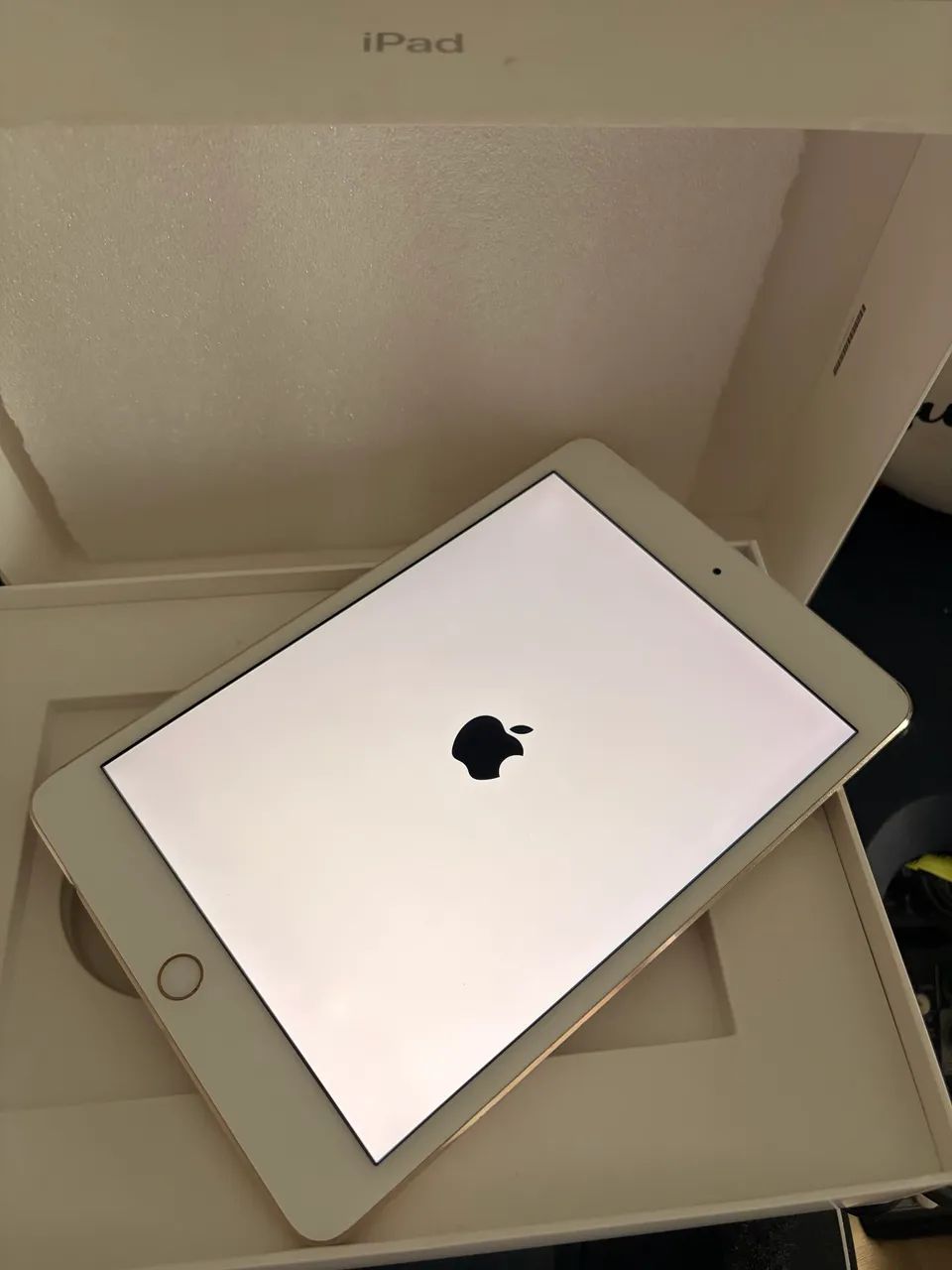 iPad mini 4 - único dono - Tablets e E-Readers - Parquelândia