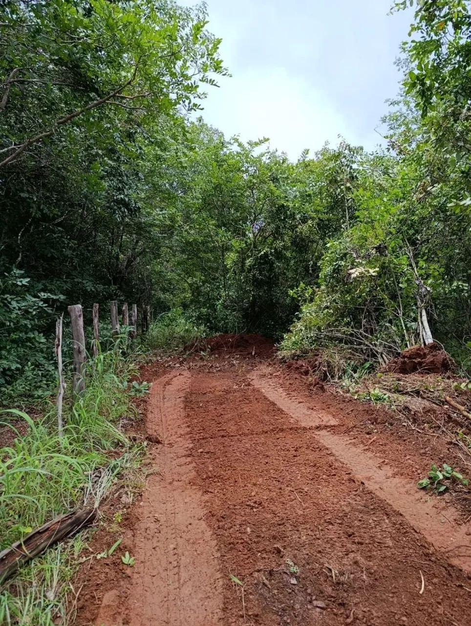 Fazenda, chácara, sítio em Minaçu  - Foto 2