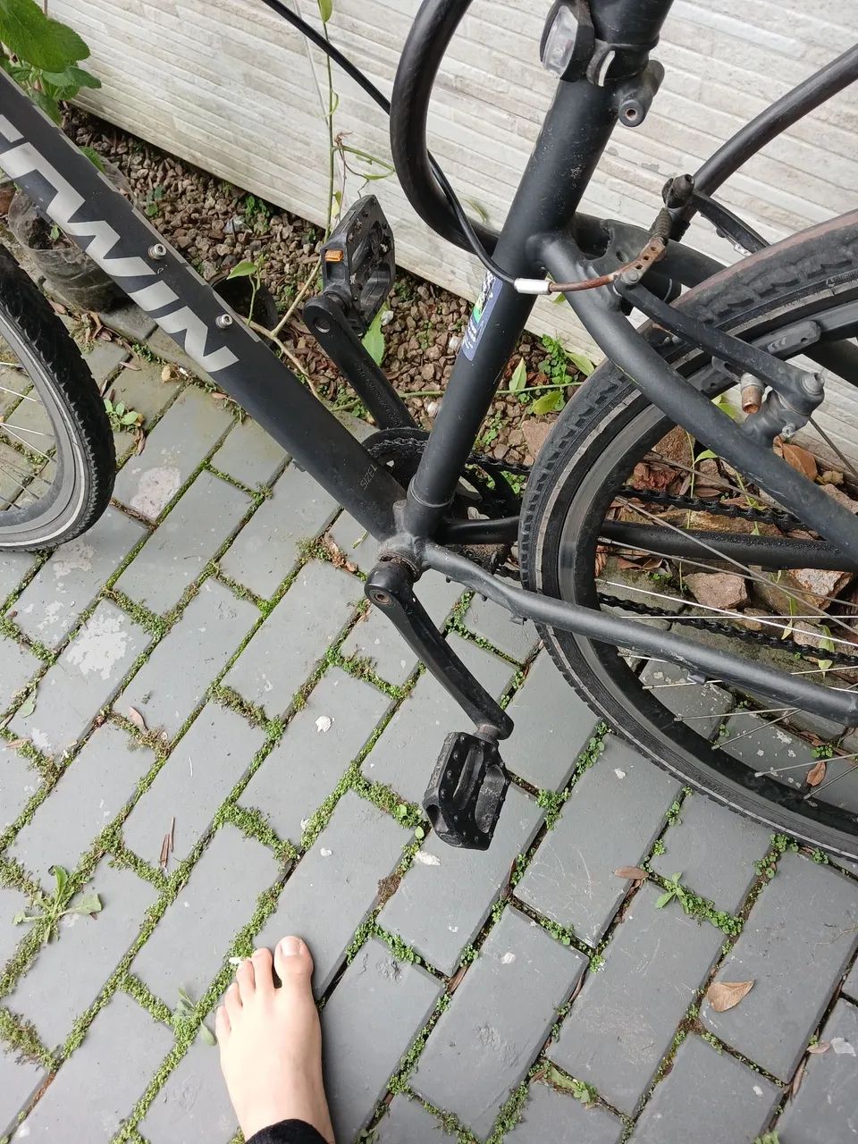 Bicicleta  - Foto 3