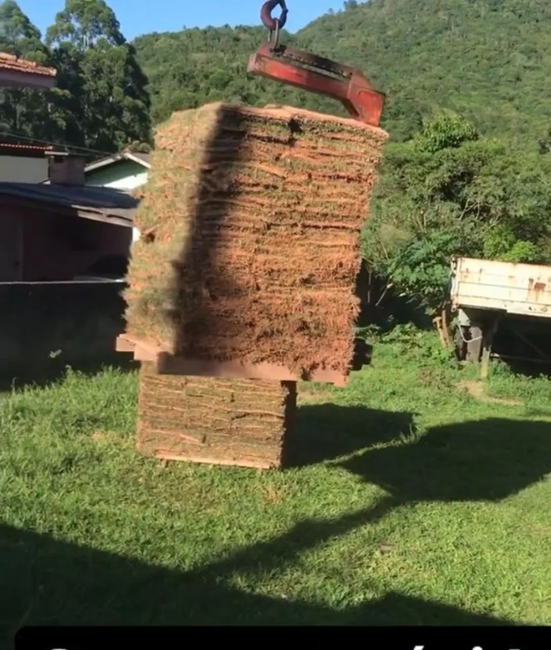 Grama pronta entrega  - Foto 2